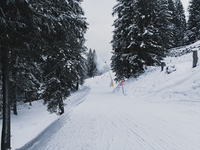 人红夹克和黑色裤子走在冰雪覆盖的地面白天
